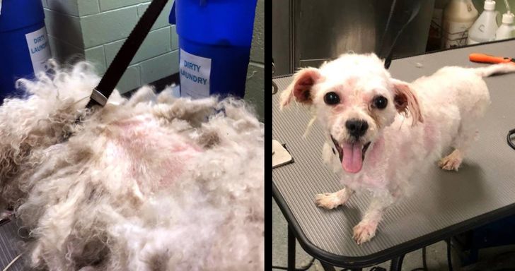 e22f3e5780ba15c945597cff09