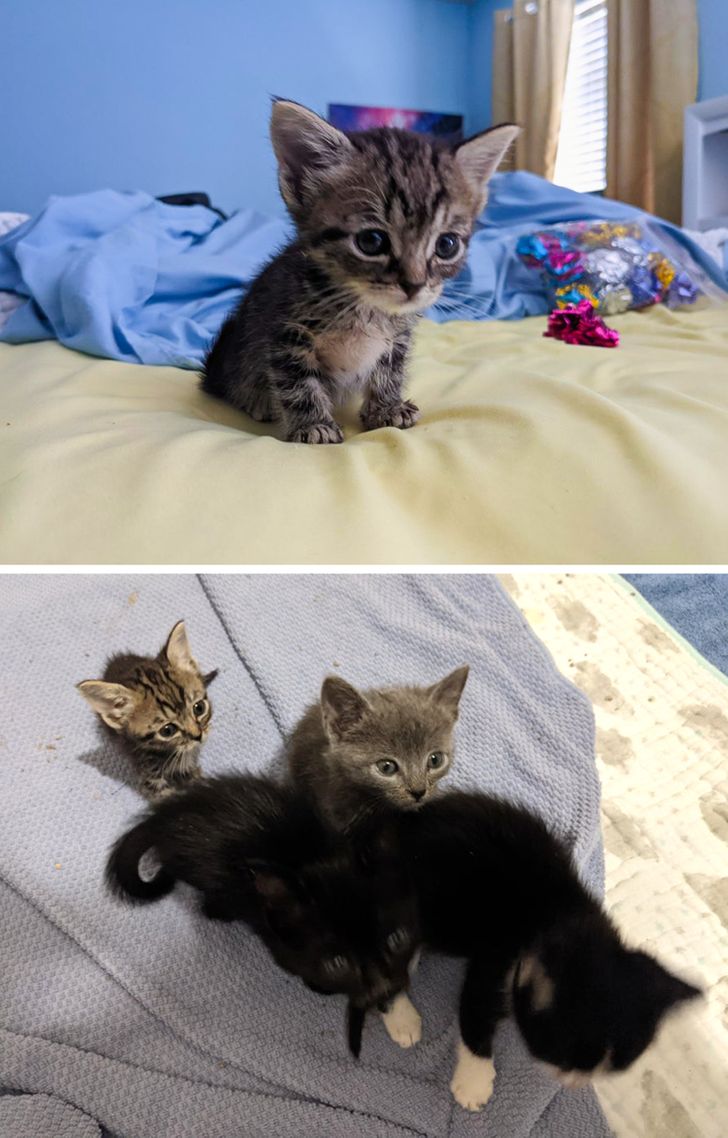 e2318451ff9d1c8d776940d7f9