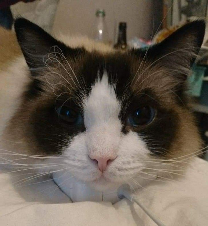 e236b259abbc4d48798631936f e236b259abbc4d48798631936f