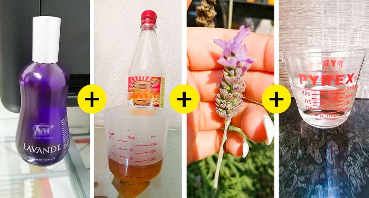 e237fb598babbf75764475973b e237fb598babbf75764475973b