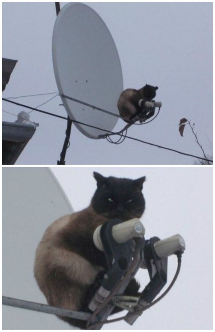 e238f755bdbe050a0c2b6c35c4