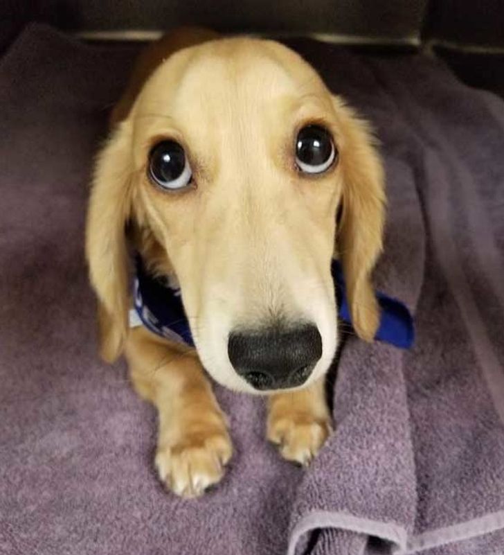 e23cef5414996bf44b0754f9b5