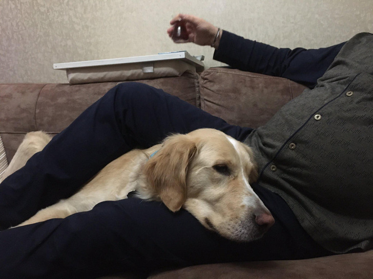 e2422952e98a9f80da2ed75952 e2422952e98a9f80da2ed75952