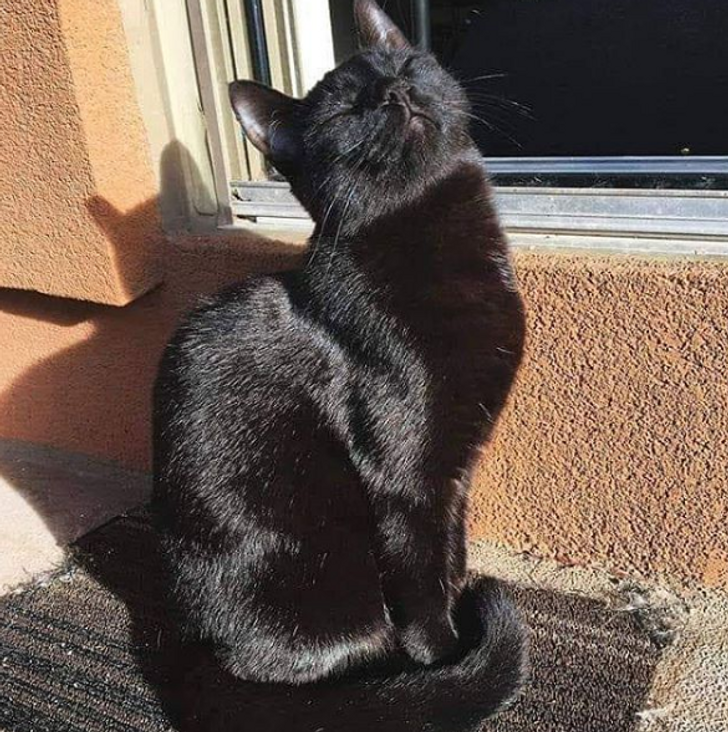 e242dc5160bffe784391d68c36