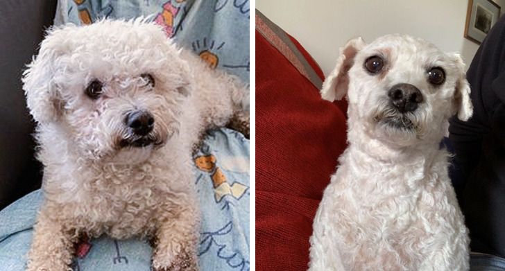 e2444c572b9887b7d6b9282a12