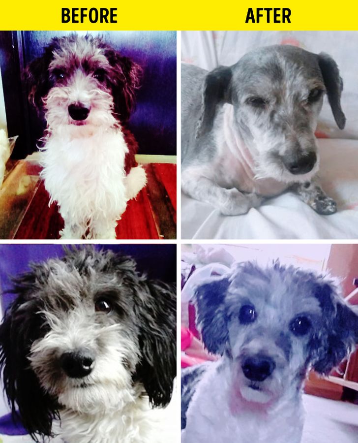 e24a085c05b9f007f3b549c17e