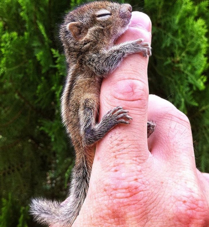 e2598358109dd137a70d3d8573-1