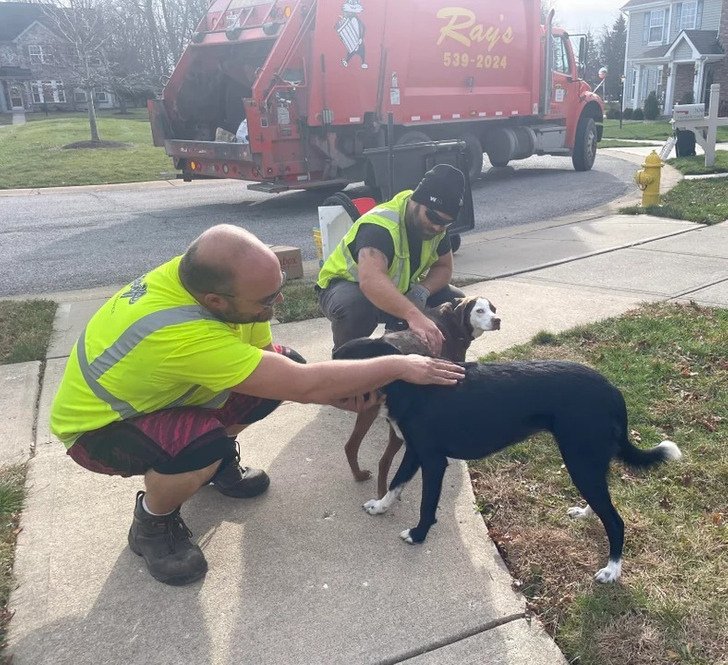 e25a315343b8ba17159db1fe10