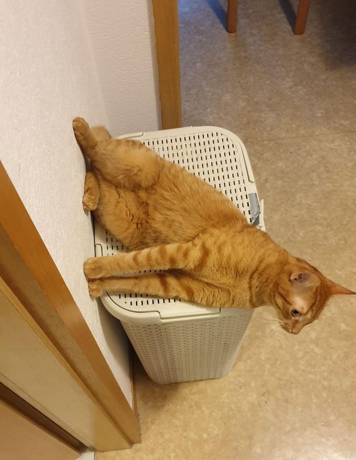 e25b265bb7b5064dad7113a47a