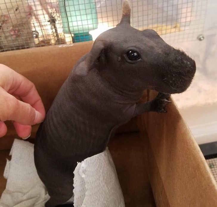 e261fe5953a95fef1432cced81