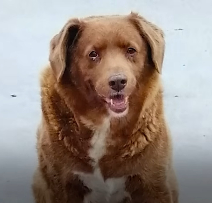 e2625d5e63bb4dfa1563b2699c