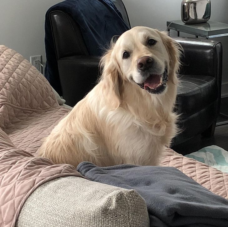 e266995147bf1405532b618db1