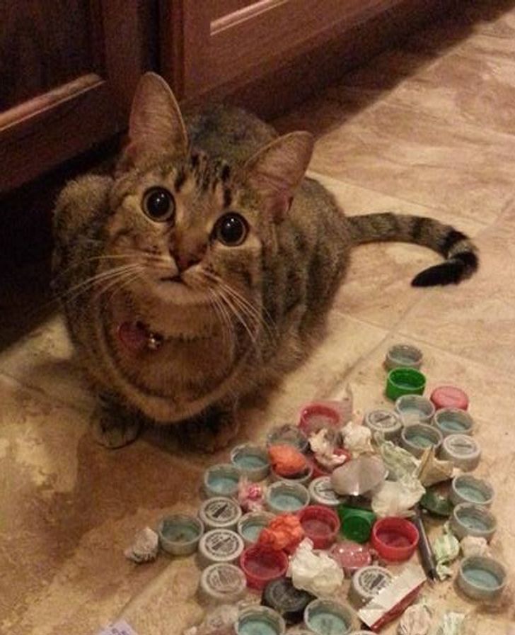 e26e6a5b6dbe82a2e1f64e1ad2