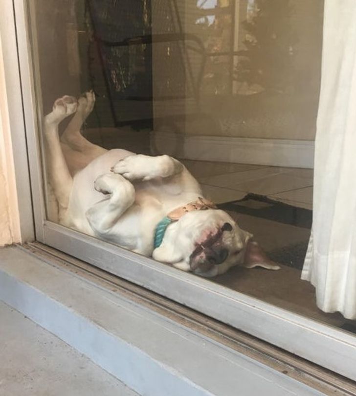 e2712d523383291c95161a42ef