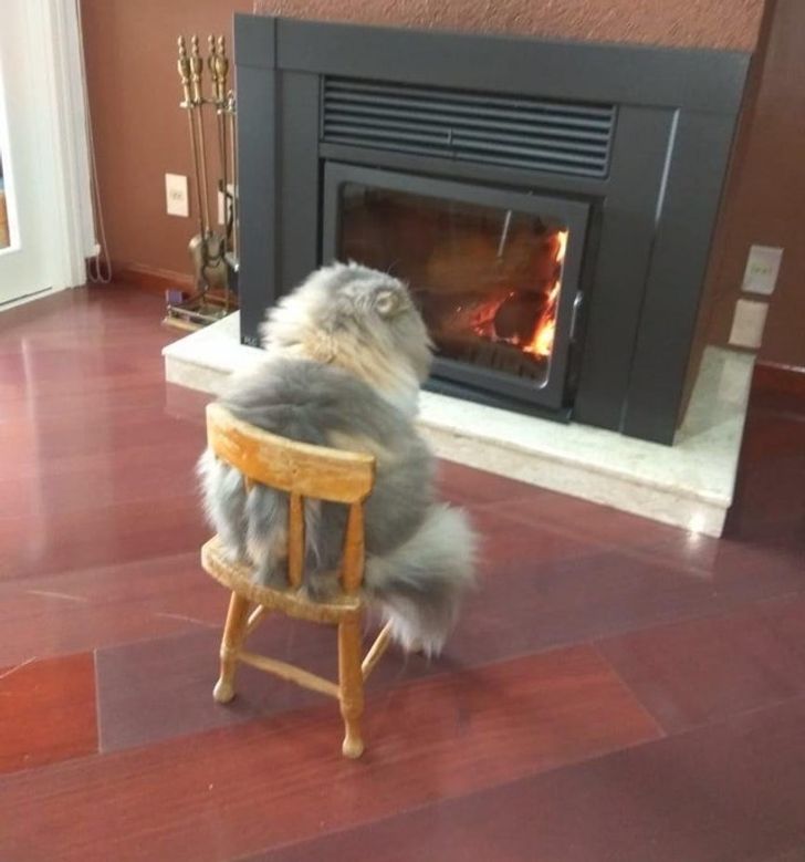 e272d75d1291d74bf717fb3109