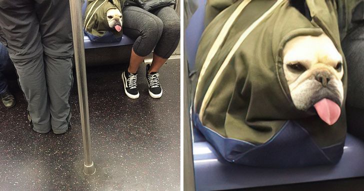 e278d85b8ea301ce356496b632