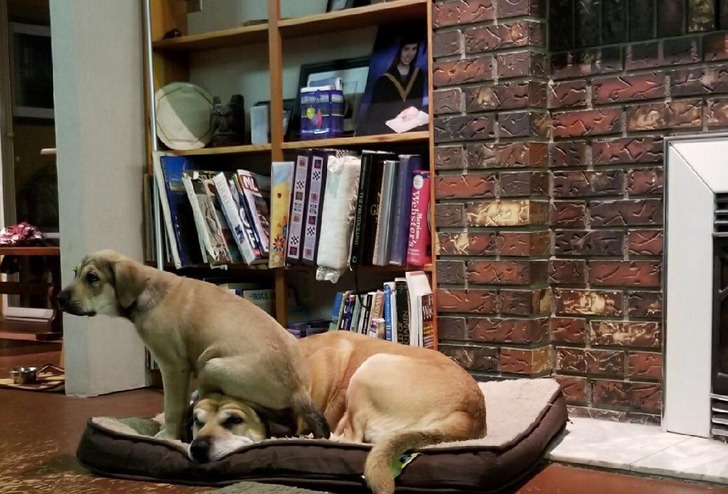 e28f11547f84ccf6fa0fb3bcf3 e28f11547f84ccf6fa0fb3bcf3