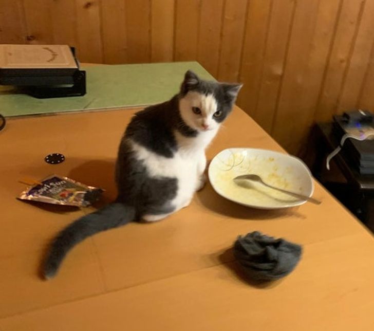 e291ef57c791d494928ce4b7ff