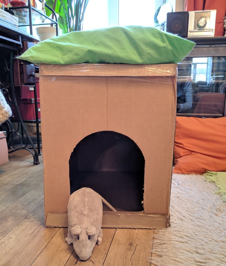 e298965f108bbfa3835ee5301f