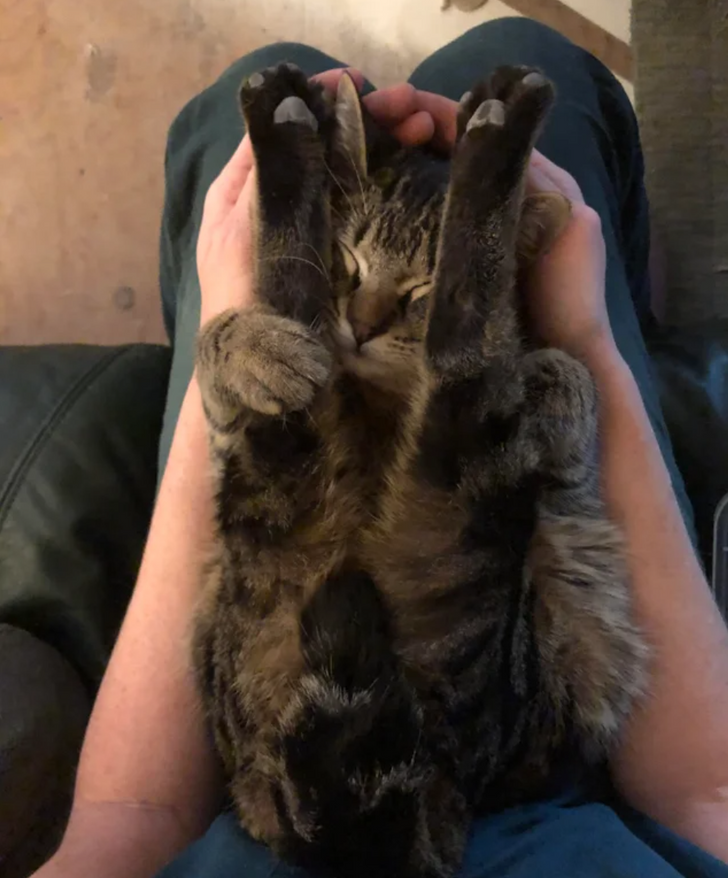 e29adc591d96a846b9db12f108