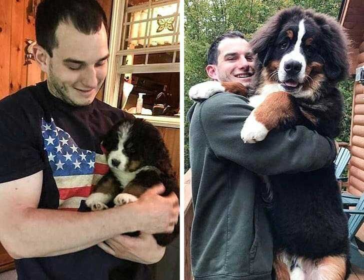 e29f4653b8b7cc36a5bd52cb6a