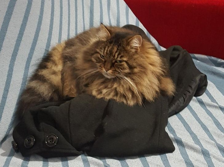 e2a1625f6bb657ca7147b3436a