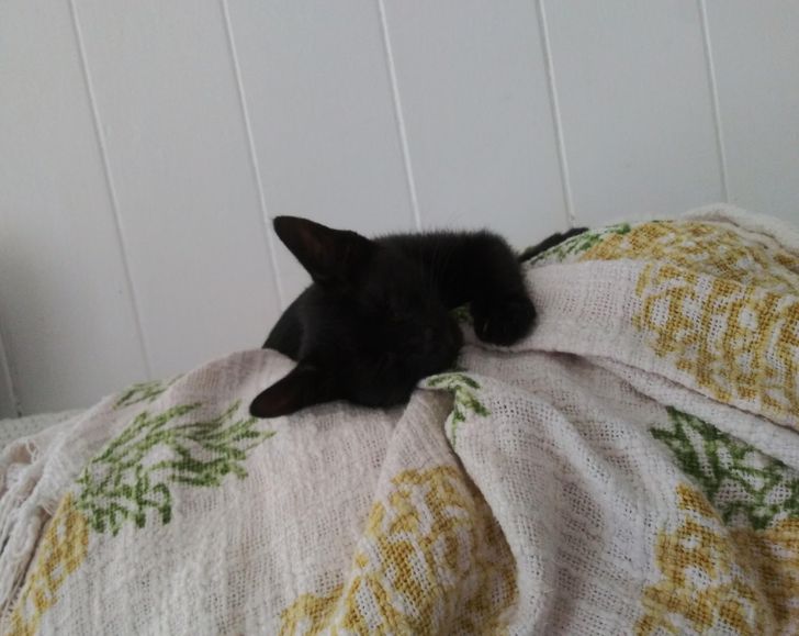 e2a2e958dea4ef46c733b2e331