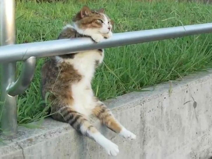 e2ac745645a21e81f6ecdbd228