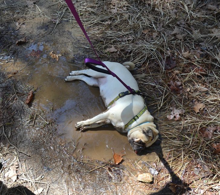 e2acef5965973da468339b7bfe