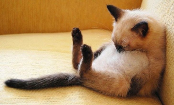 e2ae015ea595d3a5db2ead7bd2