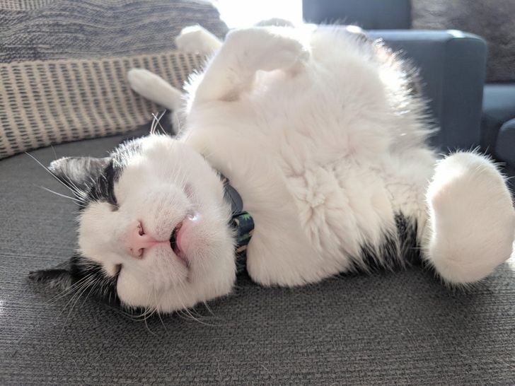 e2af735aa7bc66e333fde75a51