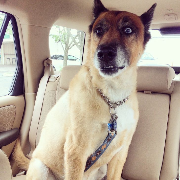 e2afdb5bf797e9caf19424000e