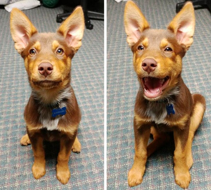 e2b40c5d529c71d891e1555924