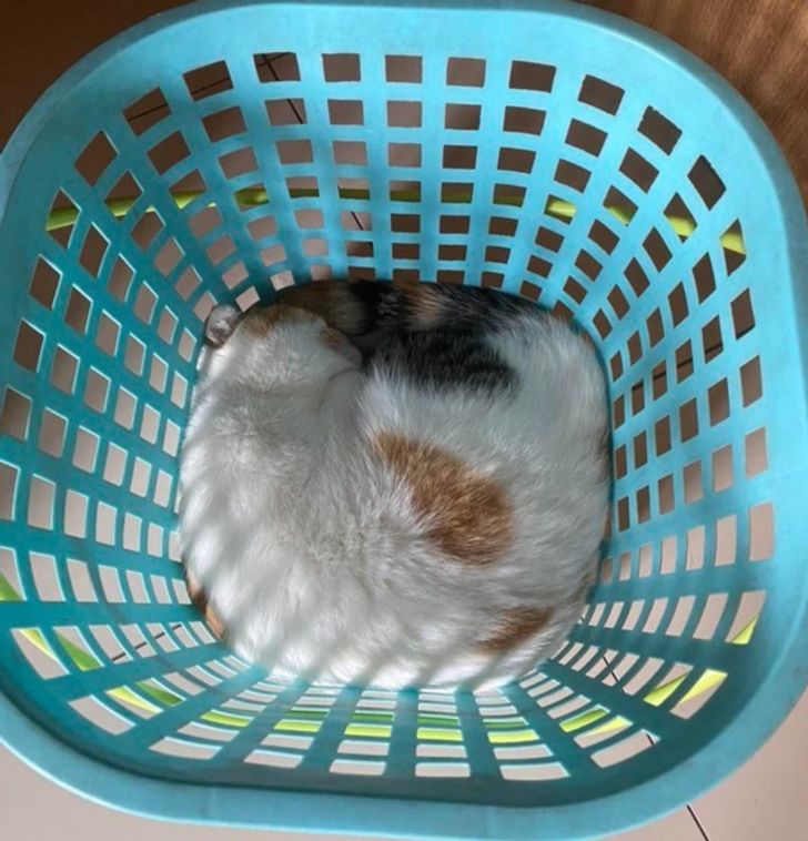 e2b53c51be847a1456f59e879c