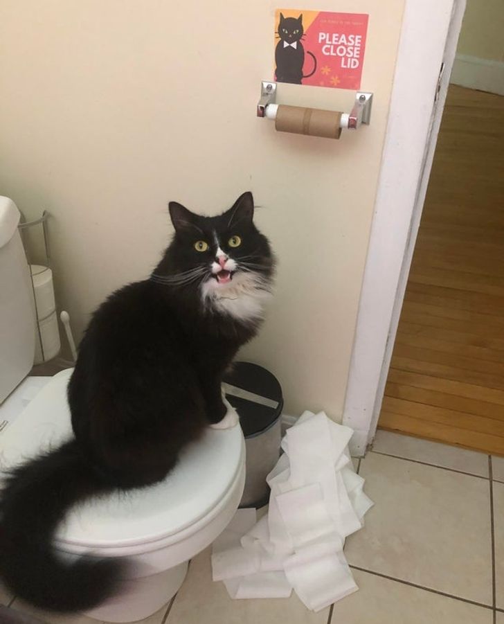 e2b6295d37891bd74f36b4b6f2