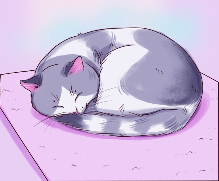 e2bbbb5121a096bcf80507c4f4