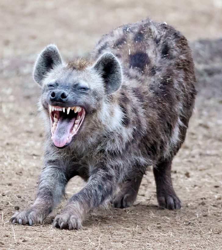 e2bc8c50ec9d52e0b12416208b