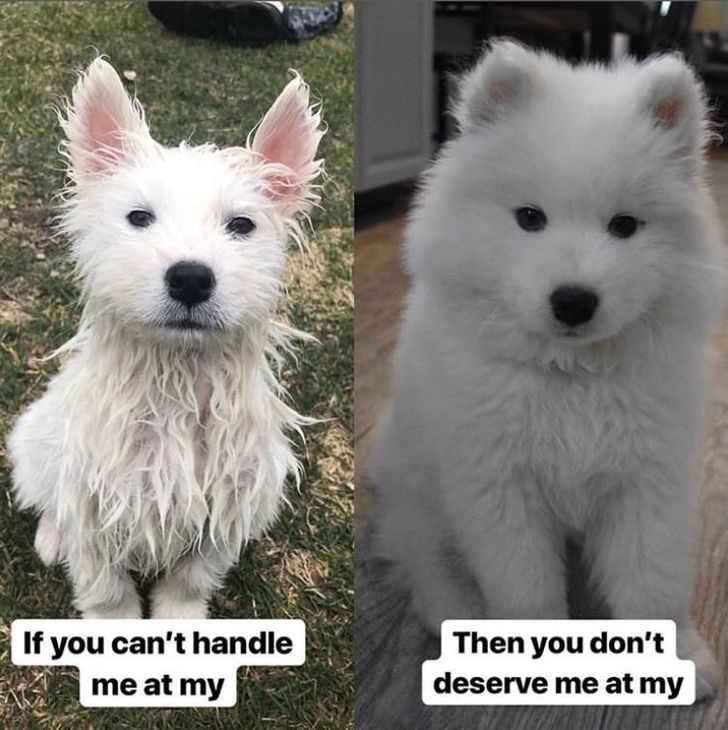 e2bd675039a889eb7d293473bc