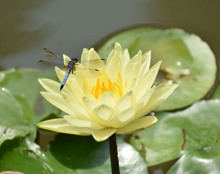 e2d42c5575bc122a9161d90ba6