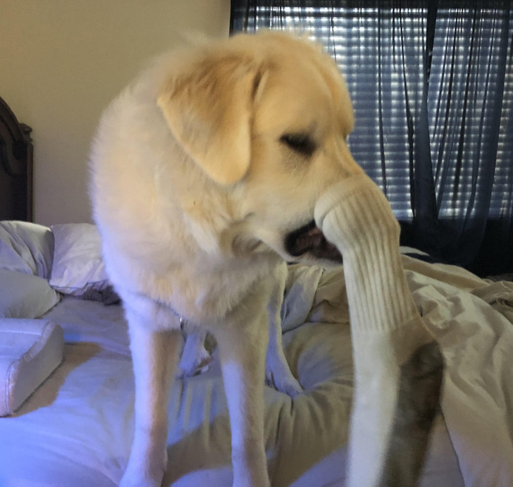 e2d6205a2fbc6cb8fd1d4b25d7 e2d6205a2fbc6cb8fd1d4b25d7