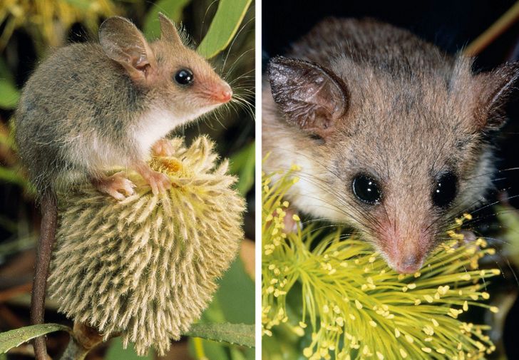 e2d848591db8623c3317b204d2