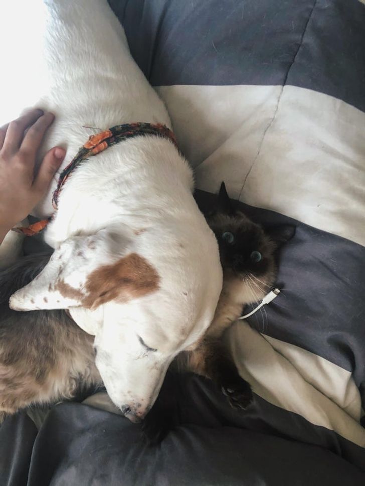 e2d9fb53deaa7f0d8a63dd1c51