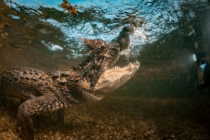 e2e55a5f968b0f23f25d8c57d1