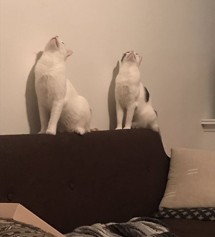 e2e7bb5b01badcf5e8495c13e5