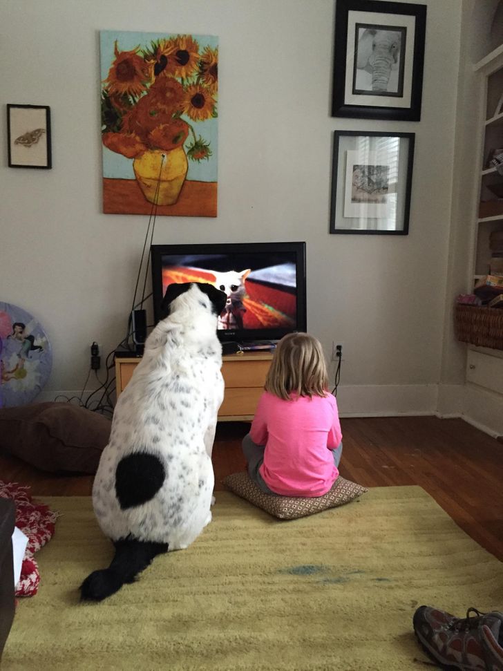 e2ee275a64b473ff599afbc283