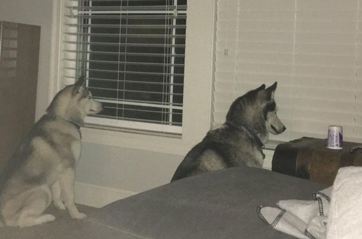 e2f23a5d75a5931ccbee5586dd