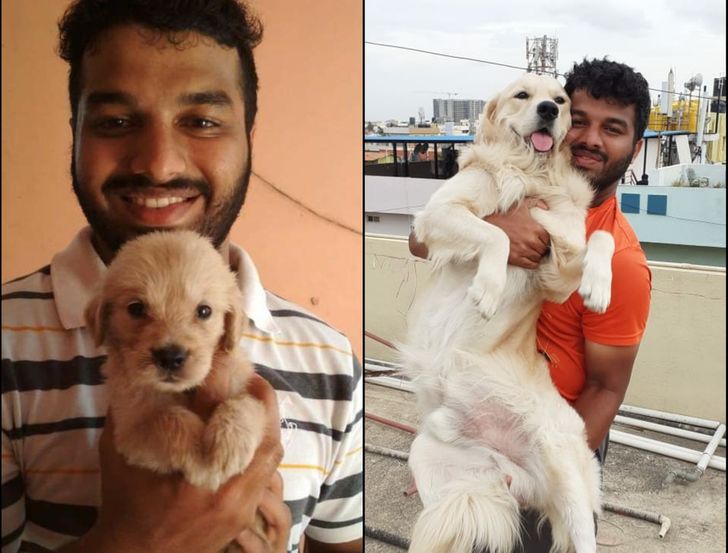 e2f3bd56b394614e17f6715f6a