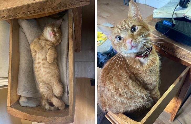 e2f53a583cae664aff9462046e