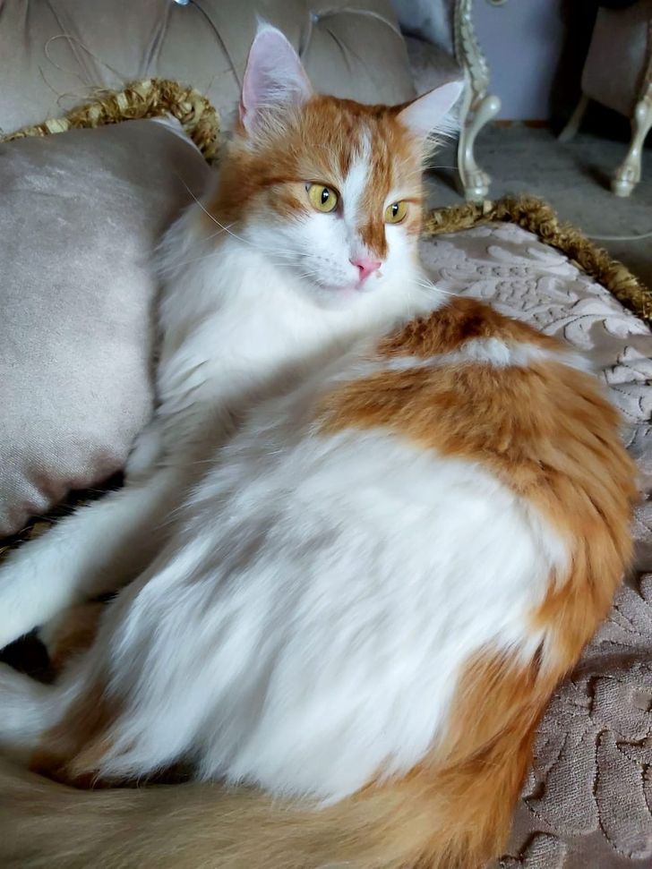 e2f6f65475bb22bb8afc4d3223