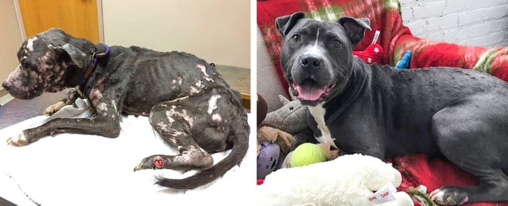 e2fcce56b38843302a3f6c7ead